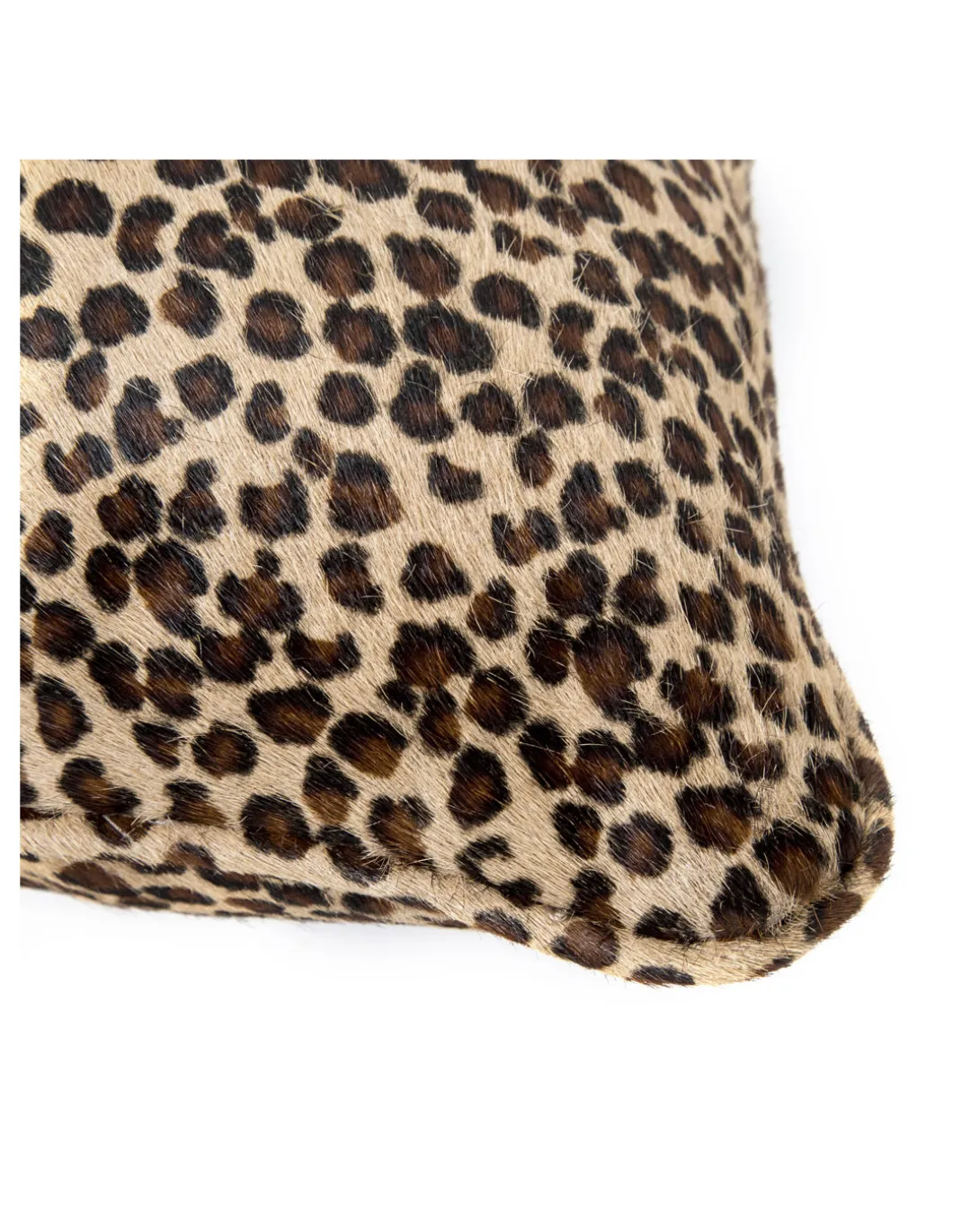 ACCESORIES M-NRCUSHION-C1