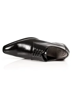 SHOE NEWMAN M-2243-C11